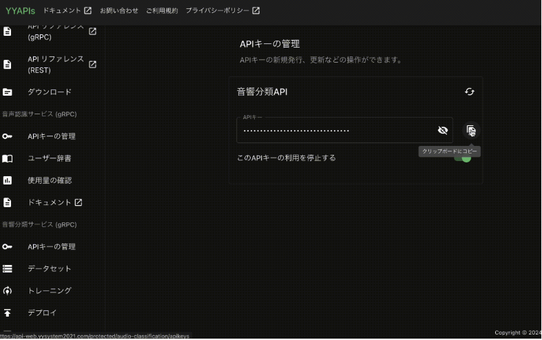 YYSystemの活動の様子